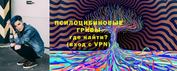 круглые Белокуриха