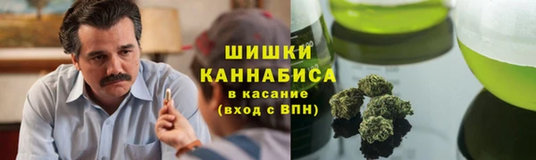 круглые Белокуриха