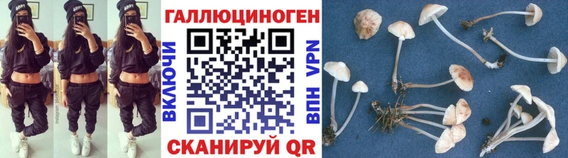 Псилоцибиновые грибы Psilocybine cubensis  где можно купить   Рязань 