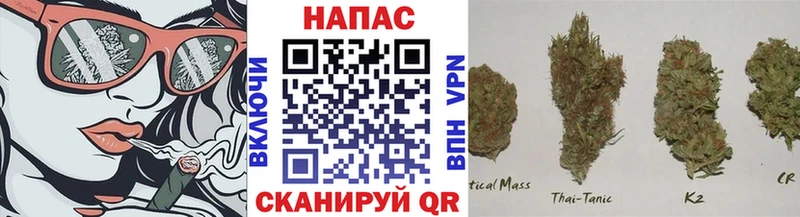 Каннабис OG Kush  Рязань 